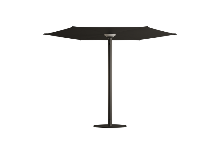 Anamon Parasol