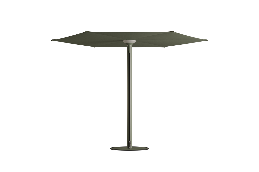 Anamon Parasol