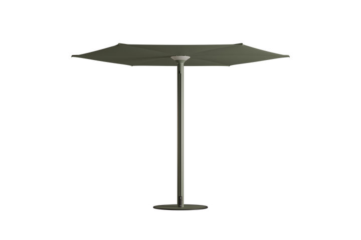 Anamon Parasol
