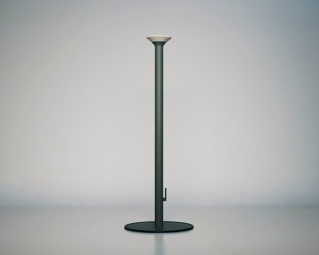 Anamon Parasol